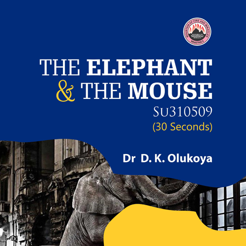 The Elephant & The Mouse – Dr. D.K. Olukoya