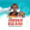 The Fountain of Jesus Blood - Temitope Kumnandi